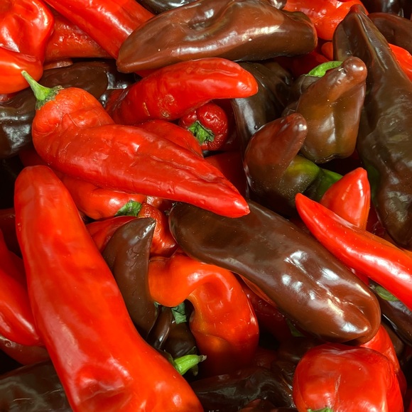 We’re doing it LIVE - Picture 2 of 6